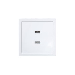 Розетка 2-мест. USB разъем СП ZIMA IP20 бел. LEZARD 704-0288-192