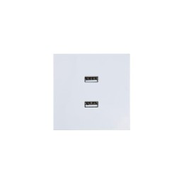 Розетка 2-мест. USB разъем СП ZIMA IP20 бел. LEZARD 704-0288-192