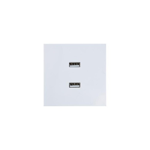 Розетка 2-мест. USB разъем СП ZIMA IP20 бел. LEZARD 704-0288-192