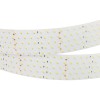 Лента светодиодная RT 2-2500 24V Day 4000К 5х2(2835 875 LED CRI98) 36Вт/м IP20 (уп.2.5м) Arlight 025
