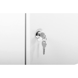 Шкаф коммутационный ШРН-Э-6.650.1 6U 600х650мм передн. двер. метал. 50кг сер. ЦМО 1132009