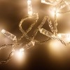Гирлянда светодиодная ARD-STRING-CLASSIC-10000-CLEAR-100LED-STD WARM230В 7Вт IP65 Ardecoled 025779