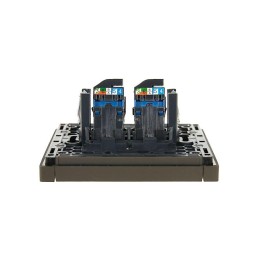 Розетка компьютерная 2-м RJ45 кат.6 FORTE&PIANO FP334 сер. IEK FP-K20-2-K03
