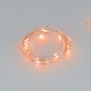 Гирлянда светодиодная ARD-DEW-HOME-2000-CLEAR-20LED-STD Orange 3V Battery Pack IP20 Ardecoled 048702