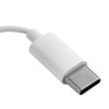 Наушники вкладыши с микрофоном ELX-WHP03-C01 проводные Type-C 1.2м коробка+бокс бел. ERGOLUX 15284