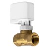 Клапан двухходовой VB 20-2 (Kvs 5.2) Ballu НС-1607664