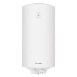 Водонагреватель RWH 100 Heatronic DryHeat Royal Thermo НС-1588116