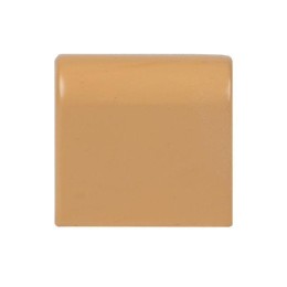 Заглушка 40х25 под свет. дерево Plast PROxima (уп.4шт) EKF ecl-40-25x4