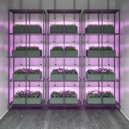 Светильник светодиодный Fito 8Вт IP20 220лм 175-265В 561х25х37мм ДВО для растений бел. GAUSS 1304119