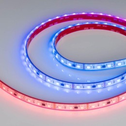 Лента светодиодная DMX-PS-B60-12mm 12V RGB-PX3 14Вт/м IP67 5060 герметичная бегущий огонь (уп.5м) Ar