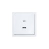 Розетка Type-C+ USB разъем СП ZIMA IP20 бел. LEZARD 704-0288-192TC