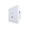 Розетка Type-C+ USB разъем СП ZIMA IP20 бел. LEZARD 704-0288-192TC