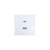 Розетка Type-C+ USB разъем СП ZIMA IP20 бел. LEZARD 704-0288-192TC