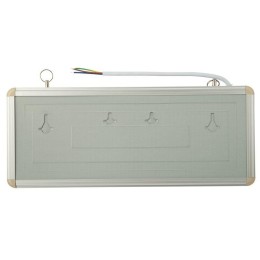 Светильник светодиодный аварийно-эвакуационный "ЗАПАСНЫЙ ВЫХОД" односторонний 1.5 ч 3Вт Rexant 74-13