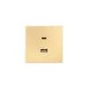 Розетка Type-C+ USB разъем СП ZIMA IP20 зол. LEZARD 704-3688-192TC