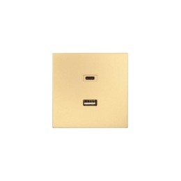 Розетка Type-C+ USB разъем СП ZIMA IP20 зол. LEZARD 704-3688-192TC