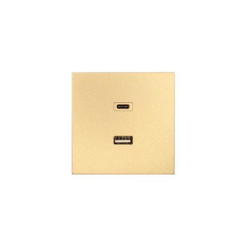 Розетка Type-C+ USB разъем СП ZIMA IP20 зол. LEZARD 704-3688-192TC