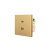 Розетка Type-C+ USB разъем СП ZIMA IP20 зол. LEZARD 704-3688-192TC