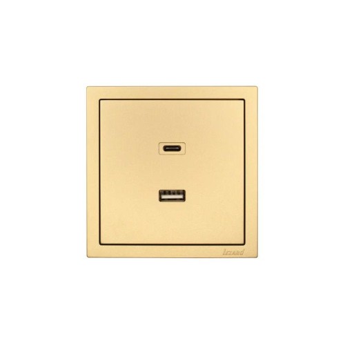 Розетка Type-C+ USB разъем СП ZIMA IP20 зол. LEZARD 704-3688-192TC