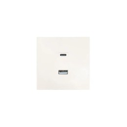 Розетка Type-C+ USB разъем СП ZIMA IP20 слон. кость LEZARD 704-9088-192TC
