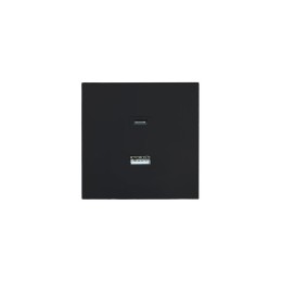 Розетка Type-C+ USB разъем СП ZIMA IP20 черн. бархат LEZARD 704-4288-192TC