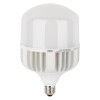 Лампа светодиодная высокомощная LED HW 65Вт T матовая 6500К холод. бел. E27 6500лм 140-265В с адапте