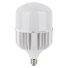 Лампа светодиодная высокомощная LED HW 80Вт T матовая 6500К холод. бел. E27 8000лм 140-265В с адапте