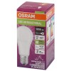 Лампа светодиодная LED Antibacterial 10Вт A грушевидная матовая 4000К нейтр. бел. E27 1055лм 220-240