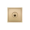 Розетка компьютерная 1-мест. СП ZIMA IP20 зол. LEZARD 704-3688-139