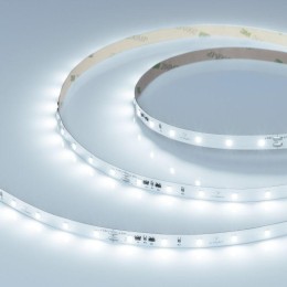 Лента светодиодная IC-A60-8mm 24V Cool 8000К 4.8Вт/м IP20 2835 стабилизированная (уп.10м) Arlight 04