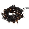 Гирлянда светодиодная "Нить" 10м 100LED желт. уличная ERAPS-NZ2 Эра Б0060544