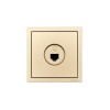 Розетка компьютерная 1-мест. СП ZIMA IP20 зол. LEZARD 704-3688-140