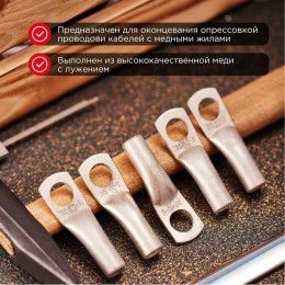 Наконечник ТМЛ-Р 2.5–6 (2.5кв.мм - d6мм) (уп.10шт) Rexant 07-5302-2