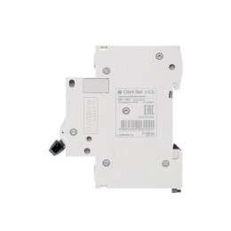 Выключатель автоматический модульный 2п B 10А 4.5кА City9 Set 230В SE C9F14210