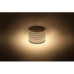 Лента светодиодная LS2835 -19.2-240-12-3000K-IP20-1 year-5m тепл. бел. (уп.5м) Эра Б0059906