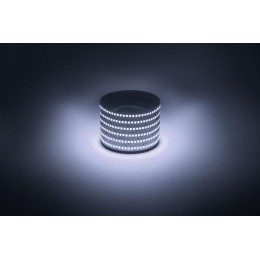 Лента светодиодная LS2835 -19.2-240-12-6500K-IP20-1 year-5m холод. бел. (уп.5м) Эра Б0059908
