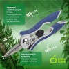Секатор для цветов и комнатных растений (1/6) Green Apple Б0017792