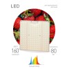 Фитопрожектор светодиодный для растений FITO-80W-LED-QB Quantum board Эра Б0053285