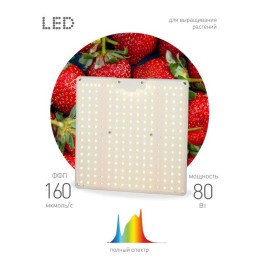 Фитопрожектор светодиодный для растений FITO-80W-LED-QB Quantum board Эра Б0053285