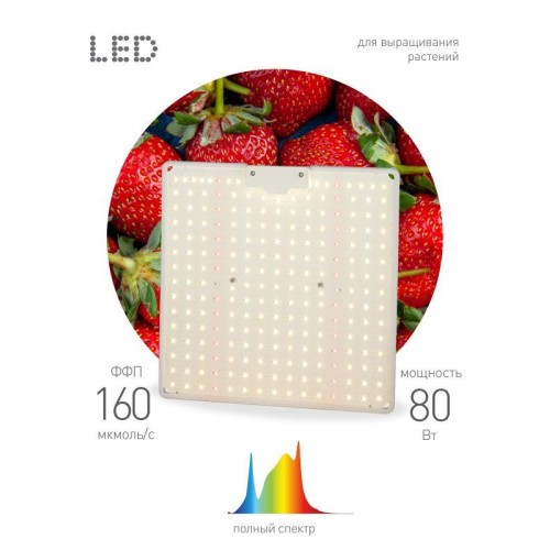 Фитопрожектор светодиодный для растений FITO-80W-LED-QB Quantum board Эра Б0053285
