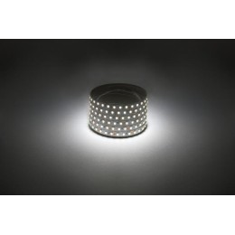 Лента светодиодная LS2835 -9.6-120-12-4000K-IP20-1 year-50m нейтр. бел. (уп.50м) Эра Б0059924