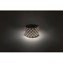 Лента светодиодная LS5050 -7.2-30-12-RGB-IP65-1 year-5m RGB (уп.5м) Эра Б0059918