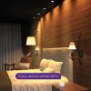 Светильник светодиодный Smart Home 16Вт 2700К IP20 1500лм 220-240В ДВО диммир. управление по Wi-Fi б
