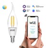 Лампа светодиодная умная Smart Home 4.5Вт свеча на ветру 2000-6500К E14 495лм измен. цветов. темпер.