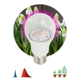 Лампа светодиодная FITO-14W-RB-E27-K 14Вт A60 грушевидная прозрачная 1310К E27 130-270В для растений