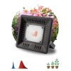 Прожектор светодиодный для растений FITO-50W-LED BLUERED 50Вт IP65 220-240В -30град. до + 45град. 30