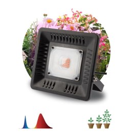 Прожектор светодиодный для растений FITO-50W-LED BLUERED 50Вт IP65 220-240В -30град. до + 45град. 30