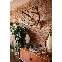 Розетка телевизионная TV 1-м ОП Quteo IP20 с топологией "звезда" черн. матов. Leg 782478