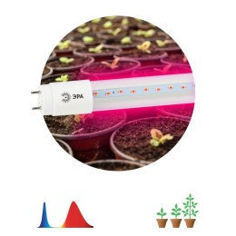 Лампа светодиодная FITO-9W-RB-Т8-G13-NL 9Вт T8 линейная 48LED 2835 IP20 35000ч для растений красн./с
