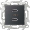 Розетка USB 2-м Simon 24 механизм графит Simon 2411096-038
